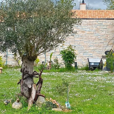 別荘 Maison Piscine Clos ,wifi, Pas De Chien , 2 Pres De La *